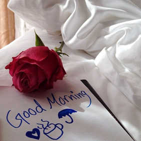 Good Morning Roses